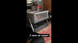 When the New Dad Muscle Memory Starts Kicking In