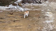 temp
