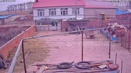 Two men jump over brick wall to save themselves from furious dogs