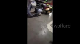 Dogs Get on Electric Bike on Owner's Command in Guangxi, China