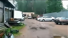 Jack Russell Terrier survives explosive beer keg chase in Naro-Fominsk brewery yard