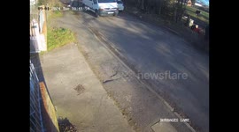 VIDEO: Couple devastated after chihuahua killed in the street by another dog and they are left with £8,500 vet bill