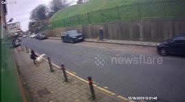 VIDEO: Owner of ‘out of control’ dog which savaged tiny pooch in street to be quizzed by cops