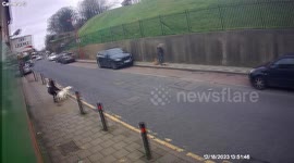 VIDEO: Owner of ‘out of control’ dog which savaged tiny pooch in street to be quizzed by cops