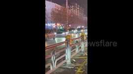 Dog Fight Halts Traffic in Shangqiu, China
