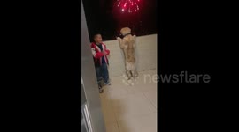 Child and Dog Enjoy Fireworks Display in Guangdong, China