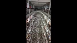 Chinese high schoolers engage in paper-toss tradition to relieve pre-exam anxiety