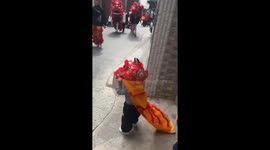 Heartwarming Scene: One-Year-Old Interacts With Lion Dance Troupe in China