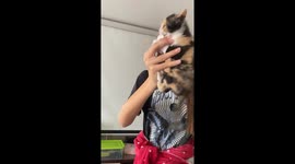 Kitten Won't Let Go of Her Paper Prey