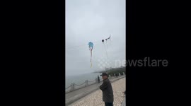 Creative grandpa soars high with kite crafted from recycled bags