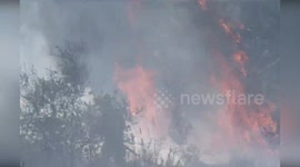 Two Urbanizations Evacuated as Two Forest Fires Break Out in Valencia, Spain
