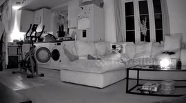 Poltergeist Ghost Throws Objects At Man Watching TV On The Sofa With His Cat