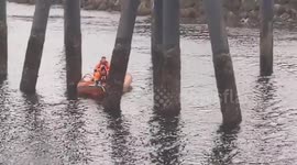 Washington State Ferries Crew Saves Tangled Bird Near Mukilteo Terminal, USA