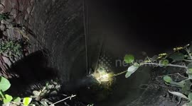 Calf rescued by fire officials after it falls into dry well in northern India