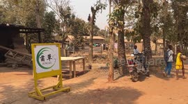 China's Juncao technology improves livelihood of women in Central African Republic