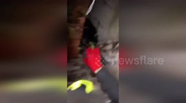 Labrador Rescued by Firefighters After Getting Stuck Between Two Walls in Treviso, Spain