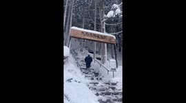 Snow Monkeys Soak In Japanese Hot Springs