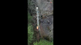 Tree climber's negative-rigging experiment results in negative safety