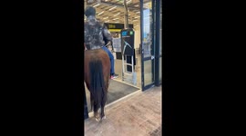 Girl says neigh-vermind to fear and rides her horse into a B&Q store