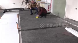 New Study Uncovers Genetic Mutation Driving Endless Appetite in Cambridge, UK