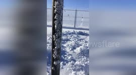 Stunning Hoar Frost Display in North Platte, NE, USA