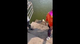 Locals rescue stranded dog clinging to river steps