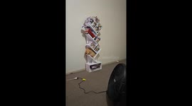 Cramped quarters: Char the cat's quest for comfort