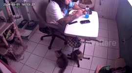 Man Doesn't Let a Broken Table Ruin His Dinner