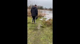 Momentary panic flirts with adorable puppy as she falls into pond