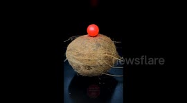 Five minutes of 1,000-degree metal ball being dropped on various objects