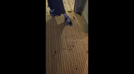 Shoe Mishap: Old shoes disintegrate just before breakfast