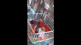 Grandmother's lightning-fast reactions save baby when SNAKE slithers into play pen