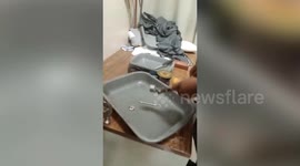 Customs officials intercept man at airport in southern India, retrieve gold concealed inside nebulizer