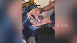 Transgender woman uses super glue to wear blonde wig