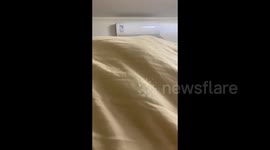 Woman Playtime with Her Cat in Guangdong, China