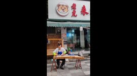 Cat Immerses in Guzheng Music Composed by Owner in Southwest China