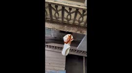 Resourceful man uses crayfish to retrieve lost sock in China