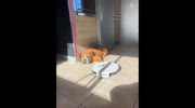 temp