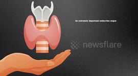 Signs & Symptoms Of Hyperthyroidism |What Are The Major Signs & Symptoms Of Hyperthyroidism?