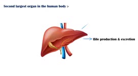 Six Signs Of Liver Disease - What Are The Signs & Symptoms Indicate That You Have Liver Disease