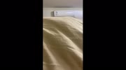 temp