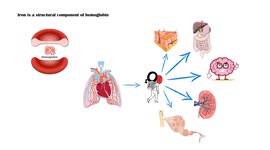 Signs Of Iron Deficiency |What Are The Signs & Symptoms Of Iron Deficiency Anemia (IDA)?