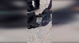 Fraudulent Network Scams Families of Missing Migrants in Spain