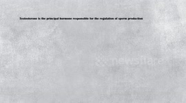 What Causes Male Infertility |Major Causes For Male Infertility |Male Factor Infertility