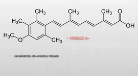 Foods Rich In Vitamin A |Best Foods Rich In Vitamin A |Vitamin A Foods