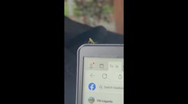 Insect lands on laptop and dances along to tunes