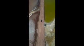 Striking drone footage as vehicle moves in between colourful lakes in Oman