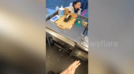 Siblings nicknamed 'spud brothers' become global sensations for their baked potatoes