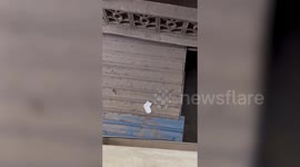 Man uses live lobster on a string to recover a sock that fell from a window