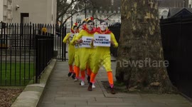 Sunak chicken' stunt outside Downing Street after PM rules out 2 May election